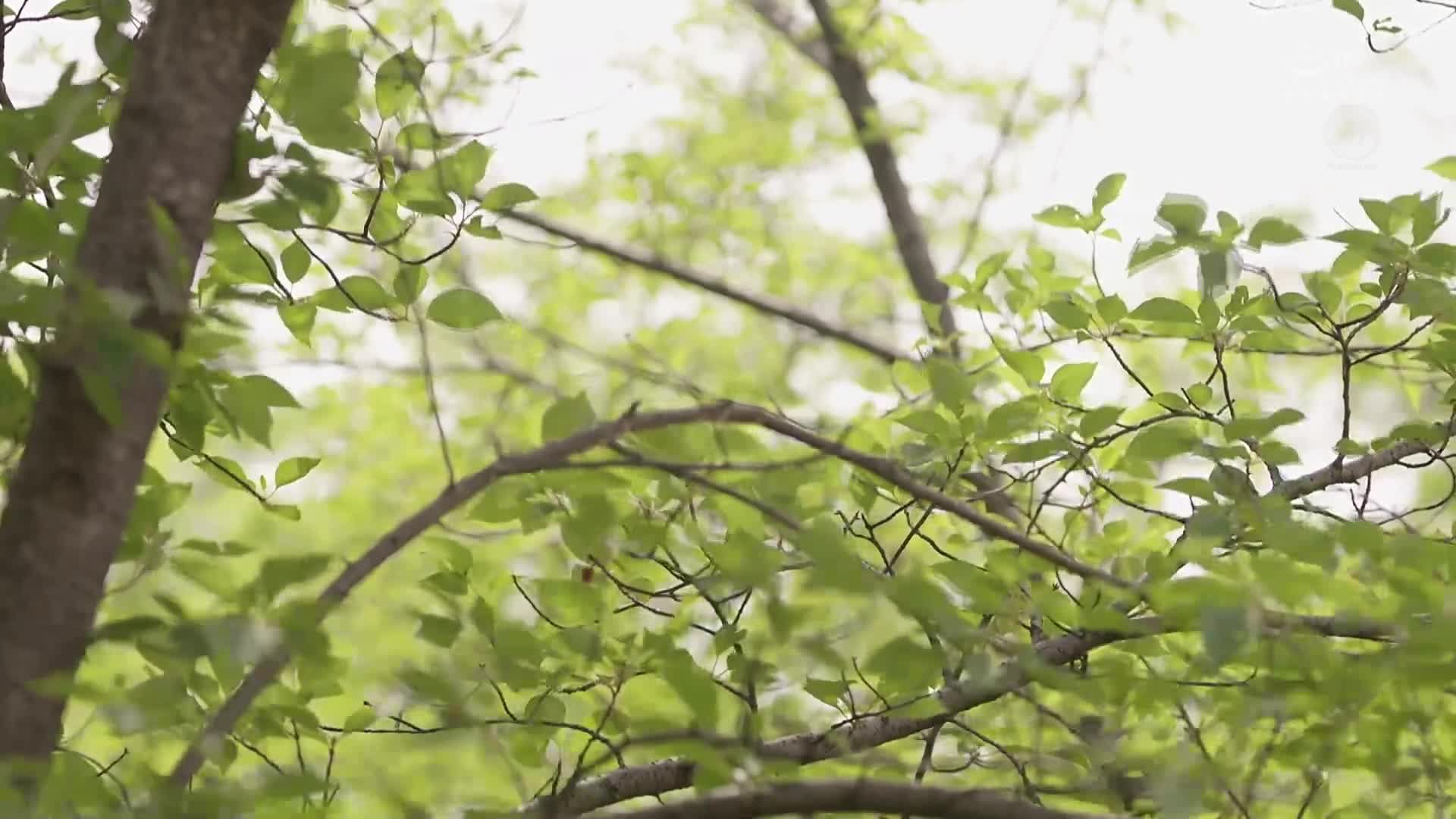 一位已婚女性收到了鑰匙，直到男學生畢業前都在一個獨居的房間內發生內射。星宮一花 - AV大平台 - 中文字幕，成人影片，AV，國產，線上看