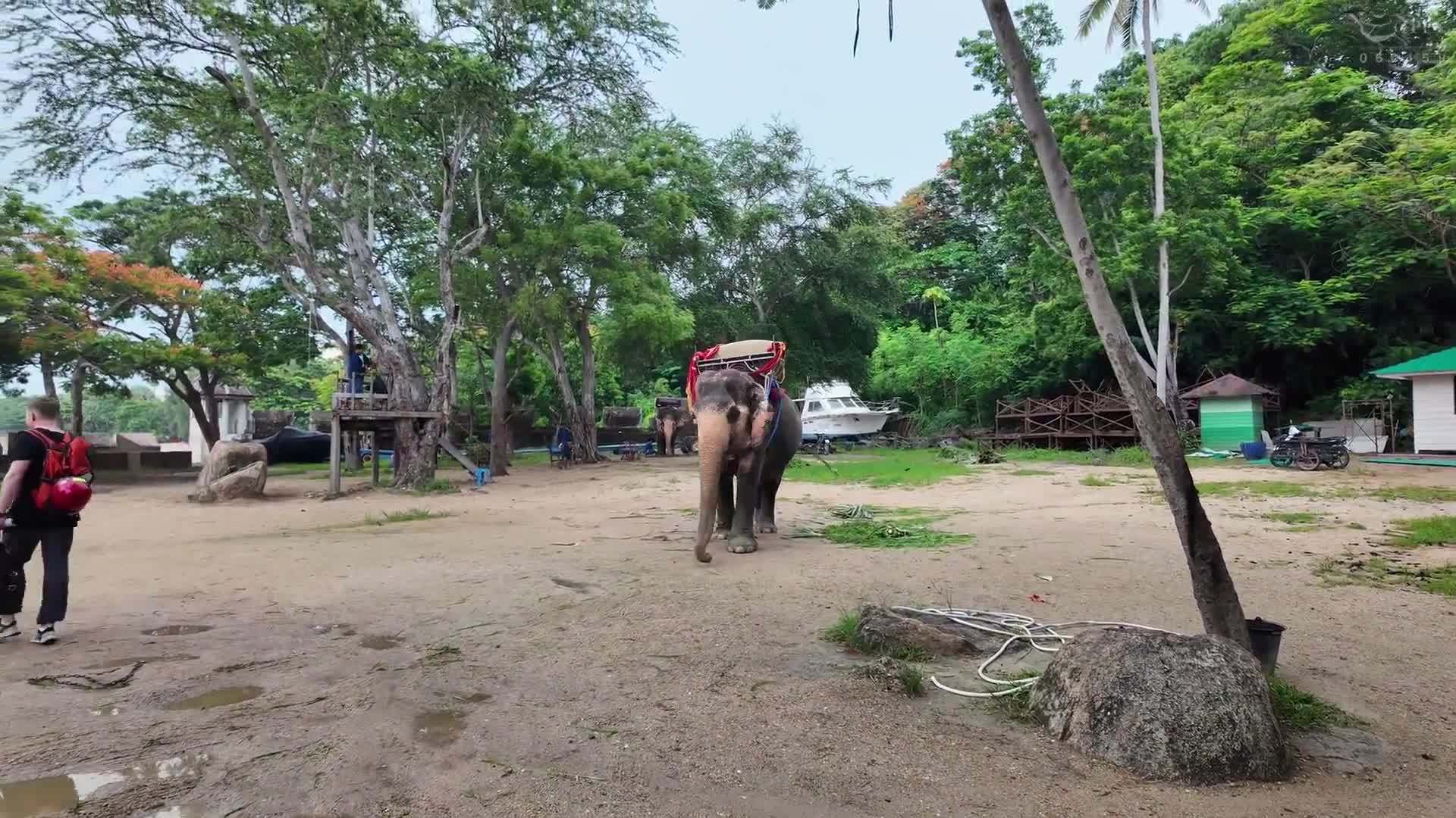 從亞洲送上愛意的 nanako - AV大平台 - 中文字幕，成人影片，AV，國產，線上看